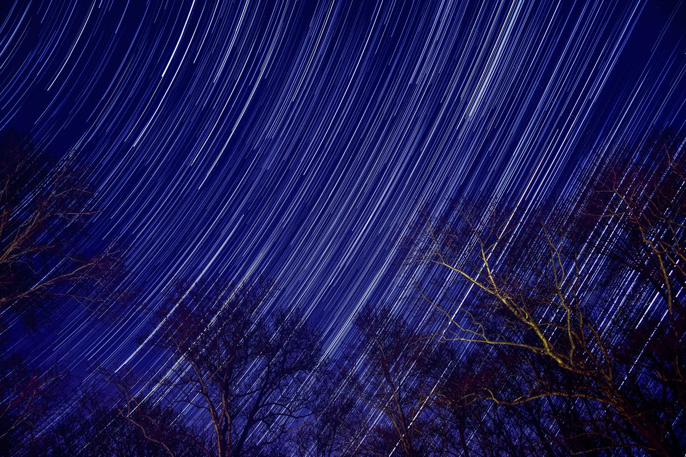 Christmas Star Trails 2016 (1)